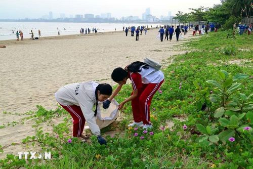 Thu gom rác trên các biển tại Ngày hội. (Ảnh: Trần Lê Lâm/TTXVN)