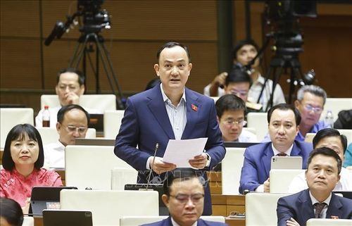 Đại biểu Quốc hội TP Hải Phòng Nguyễn Ngọc Sơn phát biểu. Ảnh: Doãn Tấn/TTXVN