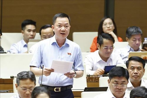 Đại biểu Quốc hội tỉnh Đồng Nai Trịnh Xuân An phát biểu. Ảnh: Doãn Tấn/TTXVN