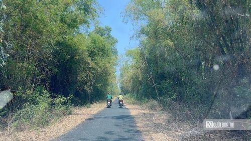 Lực lượng bảo vệ cơ động của Vườn Quốc gia Tràm Chim đang tuần tra cơ động dọc các tuyến đê bao. (Ảnh: Bùi Đạt).