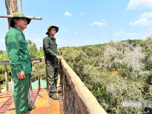 Lực lượng bảo vệ cơ động thuộc Phòng quản lý bảo vệ Phòng cháy chữa cháy rừng – Vườn Quốc gia Tràm Chim đang tuần tra từ đài quan sát. (Ảnh: Bùi Đạt).