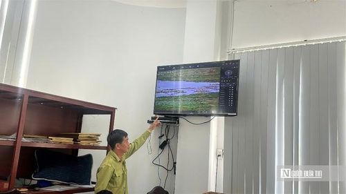 Ông Trần Nhựt Tân, Phó Trưởng phòng Quản lý bảo vệ Phòng cháy chữa cháy rừng theo dõi camera giám sát rừng tràm tại trung tâm điều hành. (Ảnh: Bùi Đạt).