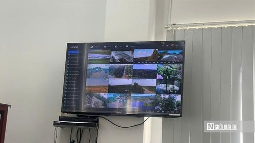 Camera giám sát rừng tràm tại trung tâm điều hành Vườn quốc gia Tràm Chim. (Ảnh: Bùi Đạt).