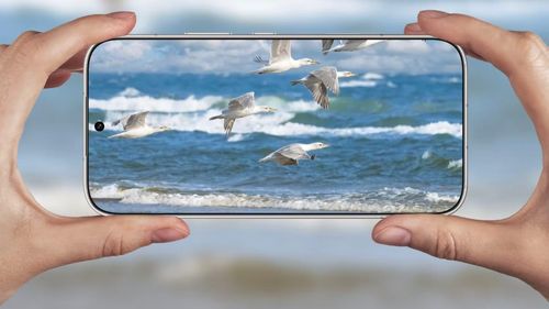 Máy được trang bị màn hình đục lỗ hiện đại, sử dụng tấm nền AMOLED phẳng 6,75 inch