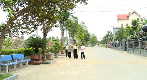 Nhờ có kinh phí từ chương trình xã hội hóa xây dựng NTM, nhiều tuyến đường giao thông được thảm nhựa, trồng cây xanh 2 bên đường.