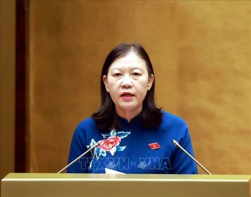 Ủy viên Ủy ban Thường vụ Quốc hội, Chủ nhiệm Ủy ban Dân nguyện và Giám sát của Quốc hội Lê Thị Nga trình bày Báo cáo giải trình, tiếp thu, chỉnh lý về 2 dự thảo: Nghị quyết về Chương trình giám sát của Quốc hội năm 2027; Nghị quyết về thành lập Đoàn giám sát chuyên đề của Quốc hội năm 2027. Ảnh: Tuấn Anh - TTXVN