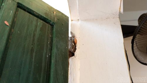 Một số hạng mục của nhà trường đã xuống cấp.