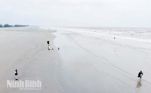 Không gian bãi biển Thịnh Long thoáng đãng, cảnh quan sạch đẹp trước mùa cao điểm.