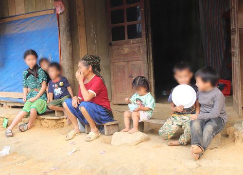 Đông con, nhiều cháu khiến áp lực mưu sinh đè nặng lên nhiều gia đình ở thôn 6 Minh Tiến, xã Bình Xa.