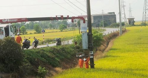 Nâng cấp bảo dưỡng hệ thống điện hạ thế tại xã Phú Vang