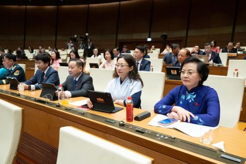 Các đại biểu tham dự phiên họp