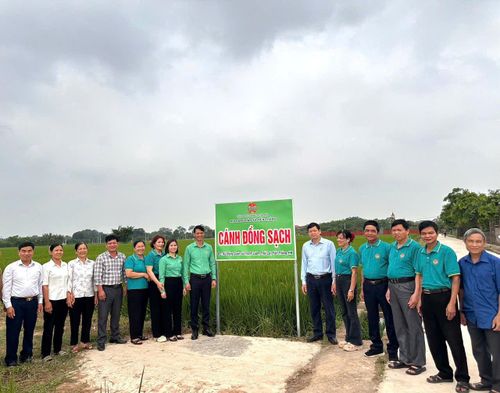 Đây là mô hình làm điểm đầu tiên trong năm 2026 tại xã Tiến Thắng. Ảnh: PV