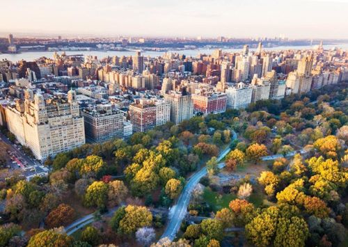 Central Park của New York như một khu vườn tuyệt đẹp giữa đô thị hiện đại. Ảnh: Arthouse