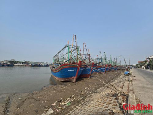 Cách đây vài năm, xã Quỳnh Long (cũ) từng có tới 145 tàu đánh bắt xa bờ, nhưng hiện chỉ còn 38 chiếc, phần lớn đã “đắp chiếu” thời gian dài và đang được rao bán.