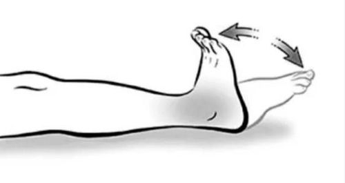 Gập và duỗi ngón chân giúp dịch khớp lưu thông ở mắt cá chân.
