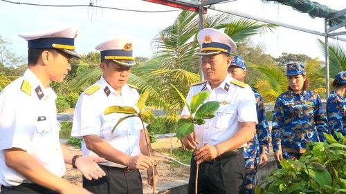 Cây trồng phục vụ chương trình “Xanh hóa Trường Sa”.
