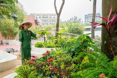  Nếu lớp học mang đến sự tiện nghi thì những không gian bên ngoài lại đem tới nhiều cảm xúc. Mỗi góc sân, khoảng trời trong trường đều phủ sắc xanh của cây cỏ, từ cây lộc vừng cây sưa, ban tím đến phượng, cọ, dương xỉ, mẫu đơn... Mỗi loại cây được trồng lại chứa các thông điệp, bài học riêng. Trong đó, tre xuất hiện nhiều nhất trong khuôn viên trường. Đây là biểu tượng quen thuộc của văn hóa và đời sống Việt. Cây tre gắn với sức sống bền bỉ, dẻo dai và tinh thần đoàn kết, được trồng như một cách gửi gắm những giá trị ấy tới học sinh.