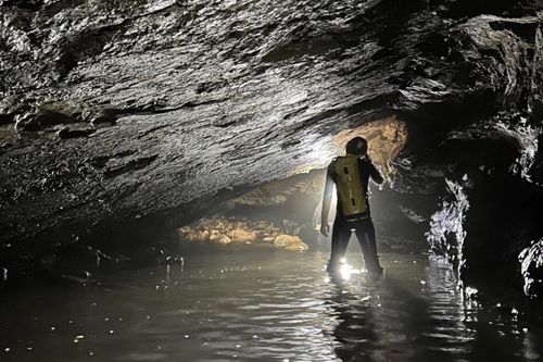 Ngoài hang Chả Nghéo, trong lần khám phá này, đoàn thám hiểm còn phát hiện hang Má Dơm (xã Kim Điền) dài 1.257 m, sâu 102 m. Hang có quy mô lớn, giá trị khoa học cao, phía trong có nước chảy, cửa hang có ánh sáng xuyên qua.