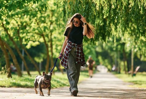 Mỗi khung giờ đi bộ đều mang lại những lợi ích riêng cho sức khỏe. Ảnh: Shutterstock.