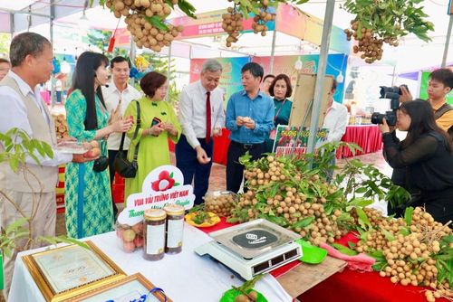 Các đại biểu tham quan các gian hàng