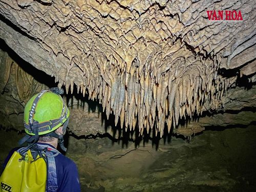 Thạch nhũ kết từ trần động ở hang Thiên Cung