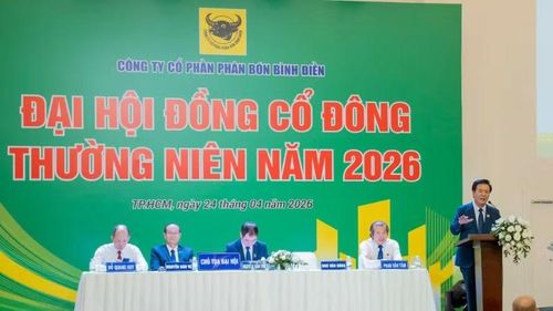 Tổng Giám đốc Công ty cổ phần phân bón Bình Điền (BFC) Ngô Văn Đông trình bày tại Đại hội cổ đông năm 2026.