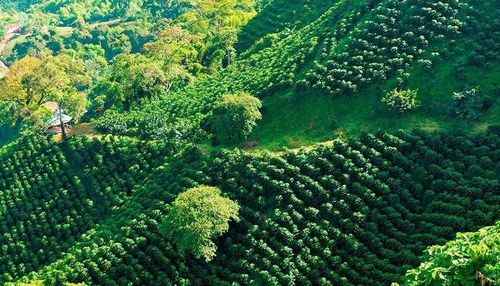 Ảnh: colombia.travel.