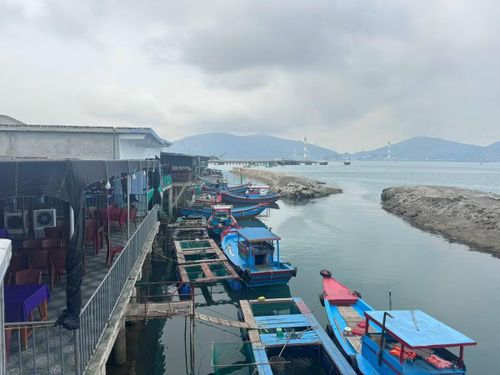 Hiện nay, khu ẩm thực mực nhảy Vũng Áng có 20 hộ kinh doanh hoạt động. Các nhà hàng được bố trí trên những bè nổi ven biển, tạo không gian thoáng đãng cho thực khách.