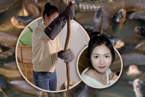 Cô gái bỏ phố về quê nuôi rắn cùng cha.