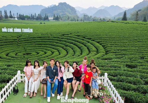Du khách đến đây không chỉ được tham quan, chụp ảnh mà còn trực tiếp trải nghiệm hái chè, chế biến chè và khám phá đời sống văn hóa bản địa.