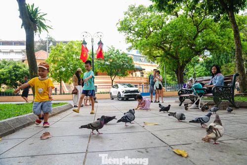 Một số phụ huynh đưa con nhỏ đến các công viên quanh Thủ đô để tham gia hoạt động ngoài trời.