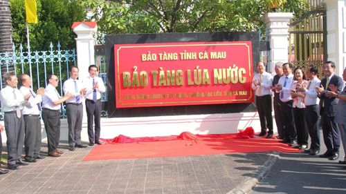 Các đại biểu thực hiện nghi thức công bố thành lập Bảo tàng Lúa nước tỉnh Cà Mau.