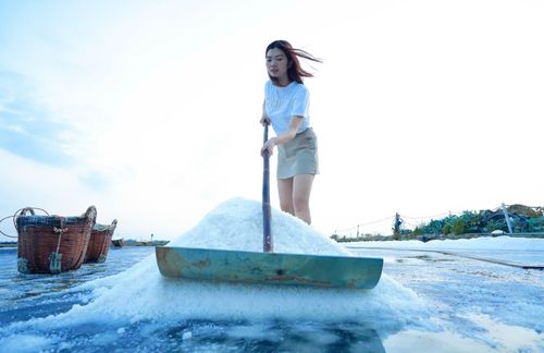Bạn trẻ trải nghiệm cào muối thu hoạch