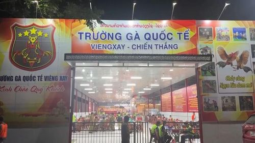 Lực lượng chức năng phối hợp triệt phá “trường gà quốc tế Viêng Xay”.