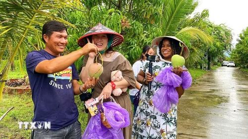 Du khách thích thú với hoạt động trải nghiệm hái xoài tại vườn ở xã Cam Lâm (Khánh Hòa). (Ảnh: TTXVN phát)