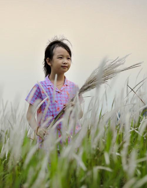Em bé chụp hình trên đồi cỏ tranh. (Ảnh: Xuân Tư/TTXVN)