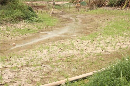 Dự báo hạn hán và xâm nhập mặn trên diện rộng tại Đồng bằng sông Cửu Long trong mùa khô 2026 - 2027.