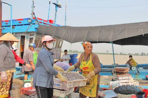 Thu mua hải sản tại cảng Hới (Sầm Sơn).