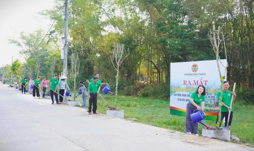 Hội Nông dân phường Bàn Thạch ra mắt tuyến đường hoa tường vi tại tổ dân phố Đông Yên. Ảnh: N.Q