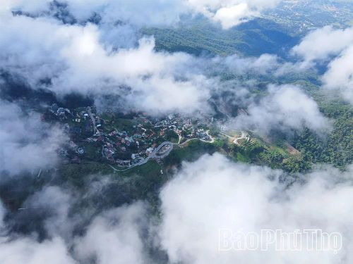 Từ làn sương mờ buổi sớm, không khí se lạnh dễ chịu đến sự thân thiện, chu đáo của người dân địa phương - tất cả tạo nên một Tam Đảo đáng nhớ, khiến du khách luôn mong muốn quay trở lại.