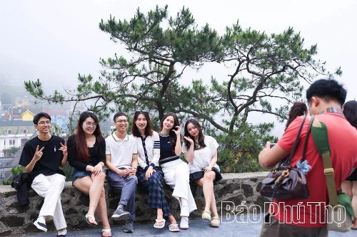Du lịch Tam Đảo 2026 không chỉ là hành trình khám phá cảnh sắc thiên nhiên, mà còn là trải nghiệm trọn vẹn từ dịch vụ đến con người.