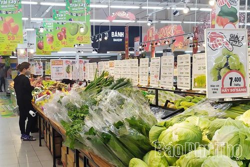 Mặt hàng nông sản của HTX rau an toàn Tứ Xã tại hệ thống siêu thị GO!