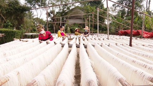 Người dân làng Hiền Lương sản xuất miến - Ảnh: N.D