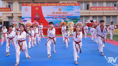 Tiết mục đồng diễn võ thuật tại Lễ khai mạc.