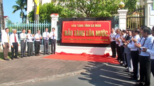 Các đại biểu thực hiện nghi thức thành lập Bảo tàng Lúa nước tại phường Bạc Liêu (tỉnh Cà Mau).