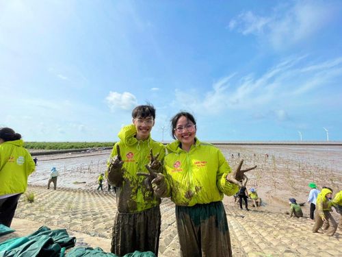 Sinh viên Đại học Cần Thơ tham gia trồng cây trong một chương trình phát triển rừng ngập mặn và ứng phó biến đổi khí hậu ở Cần Thơ. Ảnh: Kiều Thoan Thu