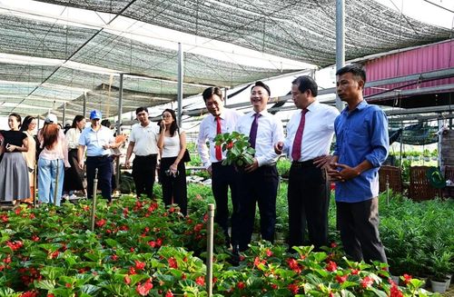 Chương trình “Sắc hoa Tường Phiêu” tại Phúc Thọ. Ảnh: HNM