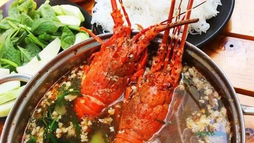 Tôm hùm tươi mua về bạn sơ chế theo hướng dẫn ở trên và để ráo nước. Có thể để nguyên con tôm, cắt đôi hoặc cắt thành miếng vừa ăn theo đốt trên thân tôm để nấu lẩu.