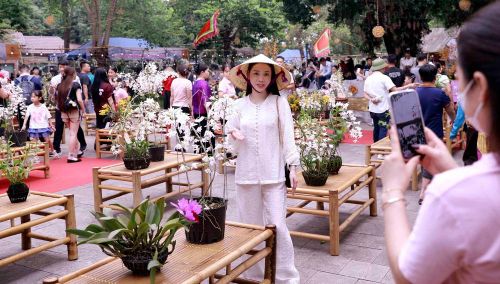 Du khách thích thú ghi lại khoảnh khắc bên những giò lan rực rỡ tại Đền Hùng. Ảnh: Hoàng Hùng – TTXVN