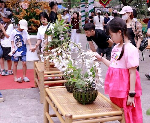 Trẻ em thích thú ngắm nhìn và khám phá những chậu phong lan rực rỡ tại khu trưng bày. Ảnh: Hoàng Hùng – TTXVN